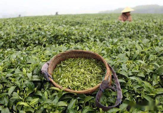 木制品热处理公司，实操经验分享