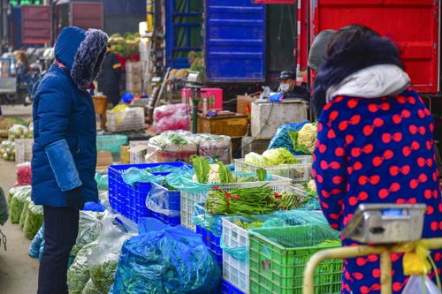木制品加工行业代码怎么查？一文搞懂国民经济分类
